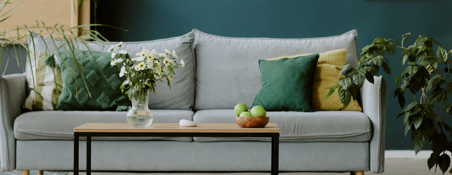 A living room with a blue wall and artwork, a gray couch with pillows, and a coffee table all surrounded by plants.