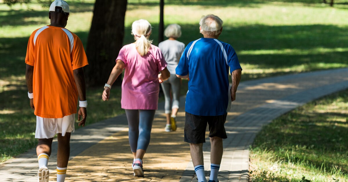 digtigardqozbllc-359404-older-people-walking-image-a1 A group of older men and women walk down a path to a park in an open, green space with several trees.